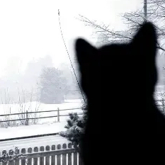 Welcome to my website!