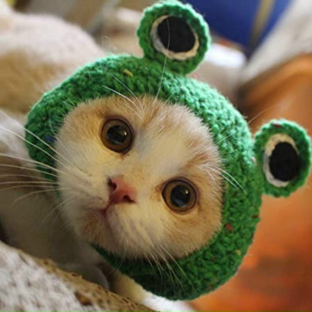 AppealsCat